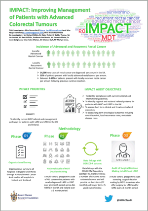 IMPACT Audit info graphic - links to PDF