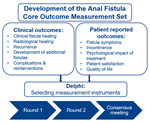 Delphi consensus: Core Outcome Measurement Set for Cryptoglandular Anal Fistula